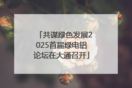 共谋绿色发展2025首届绿电铝论坛在大通召开