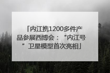 内江携1200多件产品参展西博会：“内江号”卫星模型首次亮相