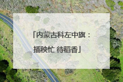 内蒙古科左中旗：插秧忙 待稻香