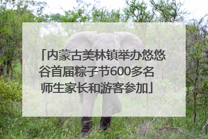 内蒙古美林镇举办悠悠谷首届粽子节600多名师生家长和游客参加