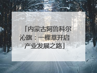 内蒙古阿鲁科尔沁旗：一棵草开启产业发展之路