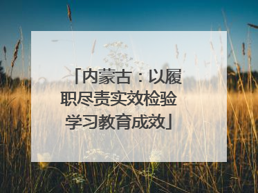 内蒙古：以履职尽责实效检验学习教育成效