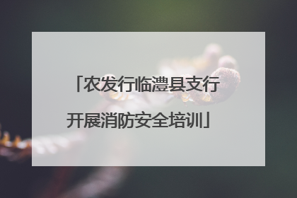 农发行临澧县支行开展消防安全培训