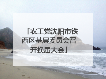 农工党沈阳市铁西区基层委员会召开换届大会