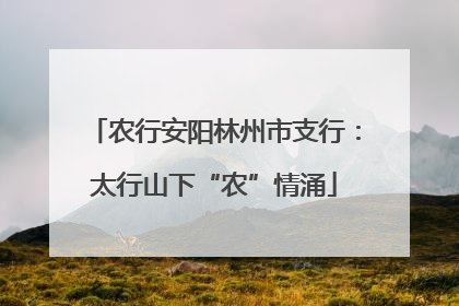 农行安阳林州市支行：太行山下“农”情涌