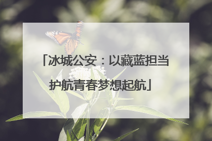 冰城公安：以藏蓝担当 护航青春梦想起航