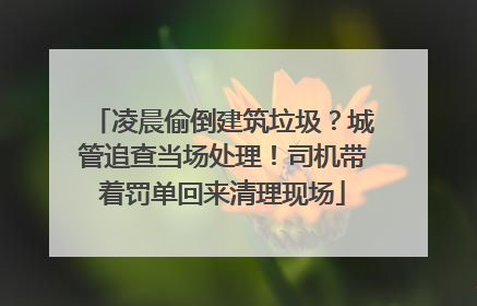 凌晨偷倒建筑垃圾？城管追查当场处理！司机带着罚单回来清理现场