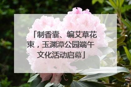 制香囊、编艾草花束，玉渊潭公园端午文化活动启幕