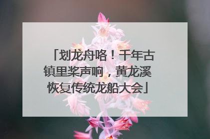 划龙舟咯！千年古镇里桨声响，黄龙溪恢复传统龙船大会