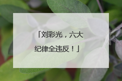 刘彩光，六大纪律全违反！