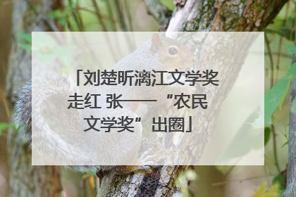 刘楚昕漓江文学奖走红 张一一“农民文学奖”出圈
