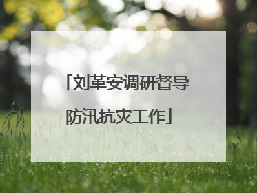 刘革安调研督导防汛抗灾工作