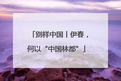 别样中国丨伊春，何以“中国林都”