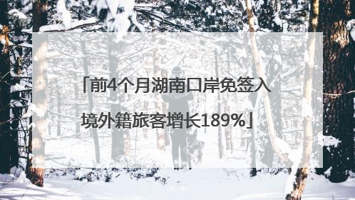 前4个月湖南口岸免签入境外籍旅客增长189%