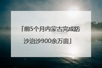 前5个月内蒙古完成防沙治沙900余万亩