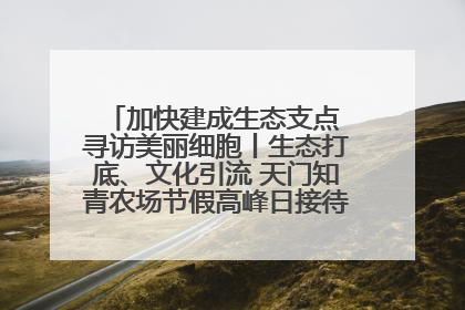 加快建成生态支点 寻访美丽细胞丨生态打底、文化引流 天门知青农场节假高峰日接待游客2万人次