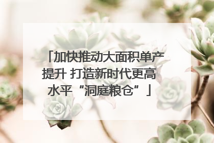 加快推动大面积单产提升 打造新时代更高水平“洞庭粮仓”