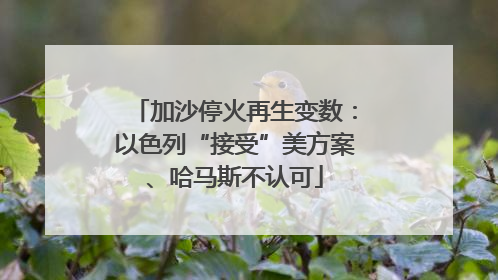 加沙停火再生变数：以色列“接受”美方案、哈马斯不认可
