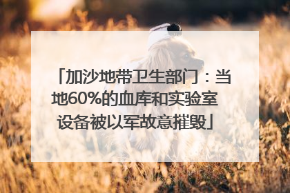 加沙地带卫生部门：当地60%的血库和实验室设备被以军故意摧毁