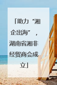 助力“湘企出海”，湖南省湘非经贸商会成立