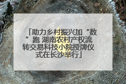 助力乡村振兴加“数”跑 湖南农村产权流转交易科技小院授牌仪式在长沙举行