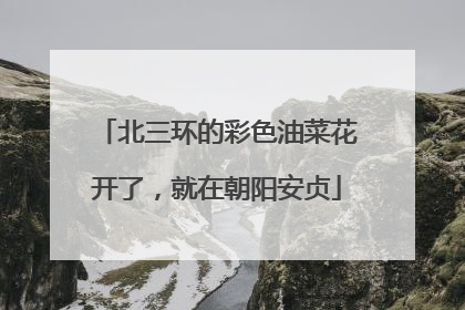 北三环的彩色油菜花开了，就在朝阳安贞