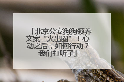 北京公安狗狗领养文案“火出圈”！心动之后，如何行动？我们打听了