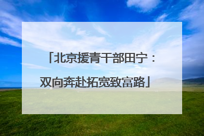 北京援青干部田宁：双向奔赴拓宽致富路