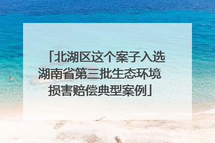 北湖区这个案子入选湖南省第三批生态环境损害赔偿典型案例