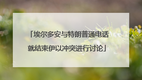 埃尔多安与特朗普通电话 就结束伊以冲突进行讨论