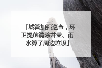 城管加强巡查，环卫提前清除井盖、雨水箅子周边垃圾