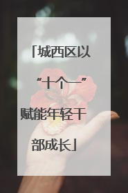 城西区以“十个一”赋能年轻干部成长