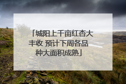 城阳上千亩红杏大丰收 预计下周各品种大面积成熟