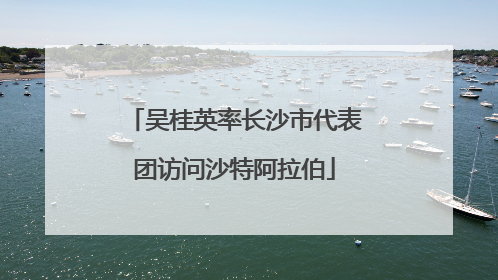 吴桂英率长沙市代表团访问沙特阿拉伯