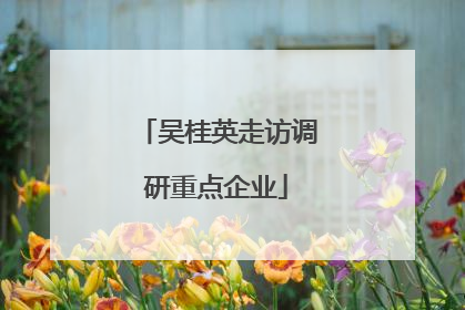 吴桂英走访调研重点企业