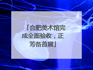 合肥美术馆完成全面验收，正筹备首展