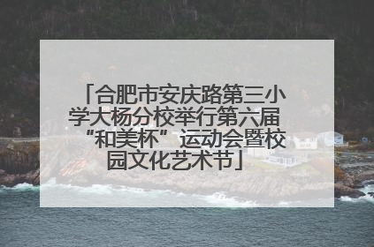 合肥市安庆路第三小学大杨分校举行第六届“和美杯”运动会暨校园文化艺术节
