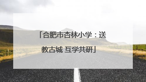 合肥市杏林小学：送教古城 互学共研