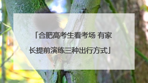 合肥高考生看考场 有家长提前演练三种出行方式