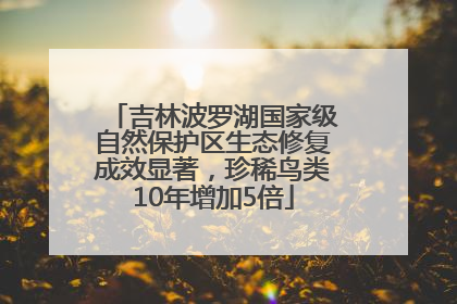 吉林波罗湖国家级自然保护区生态修复成效显著，珍稀鸟类10年增加5倍