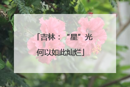 吉林：“星”光何以如此灿烂