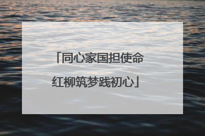 同心家国担使命 红柳筑梦践初心