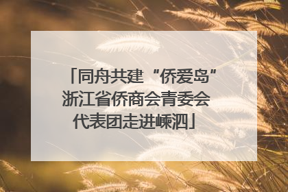 同舟共建“侨爱岛” 浙江省侨商会青委会代表团走进嵊泗