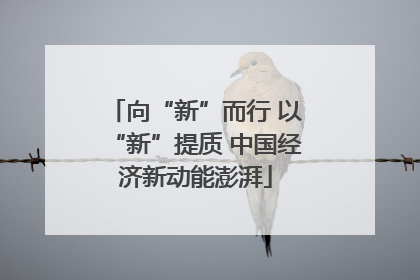 向“新”而行 以“新”提质 中国经济新动能澎湃