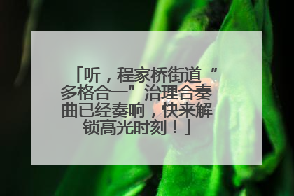 听，程家桥街道“多格合一”治理合奏曲已经奏响，快来解锁高光时刻！