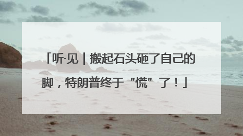 听·见｜搬起石头砸了自己的脚，特朗普终于“慌”了！