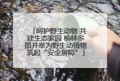 呵护野生动物 共建生态家园 榆林多措并举为野生动植物筑起“安全屏障”