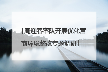 周迎春率队开展优化营商环境整改专题调研