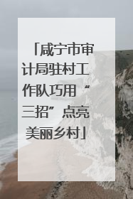 咸宁市审计局驻村工作队巧用“三招”点亮美丽乡村