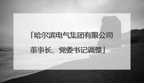 哈尔滨电气集团有限公司董事长、党委书记调整
